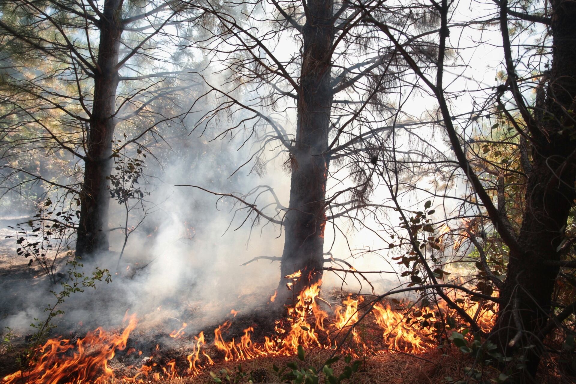 El incendio no logra ser controlado