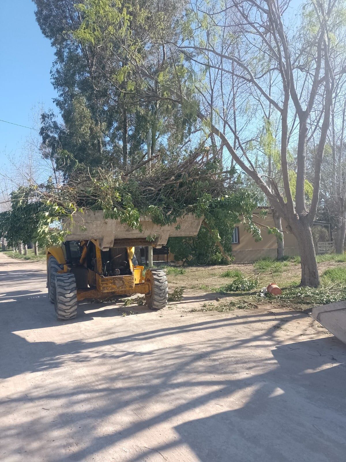 Resumen semanal de Higiene Urbana de Tres Arroyos