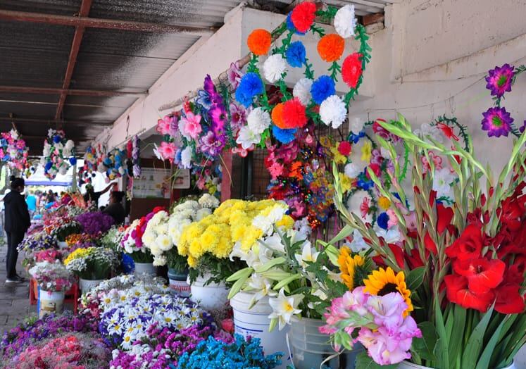 Coloridas ofrendas florales son depositadas en las tumbas, para rendir alegre homenaje las almas.