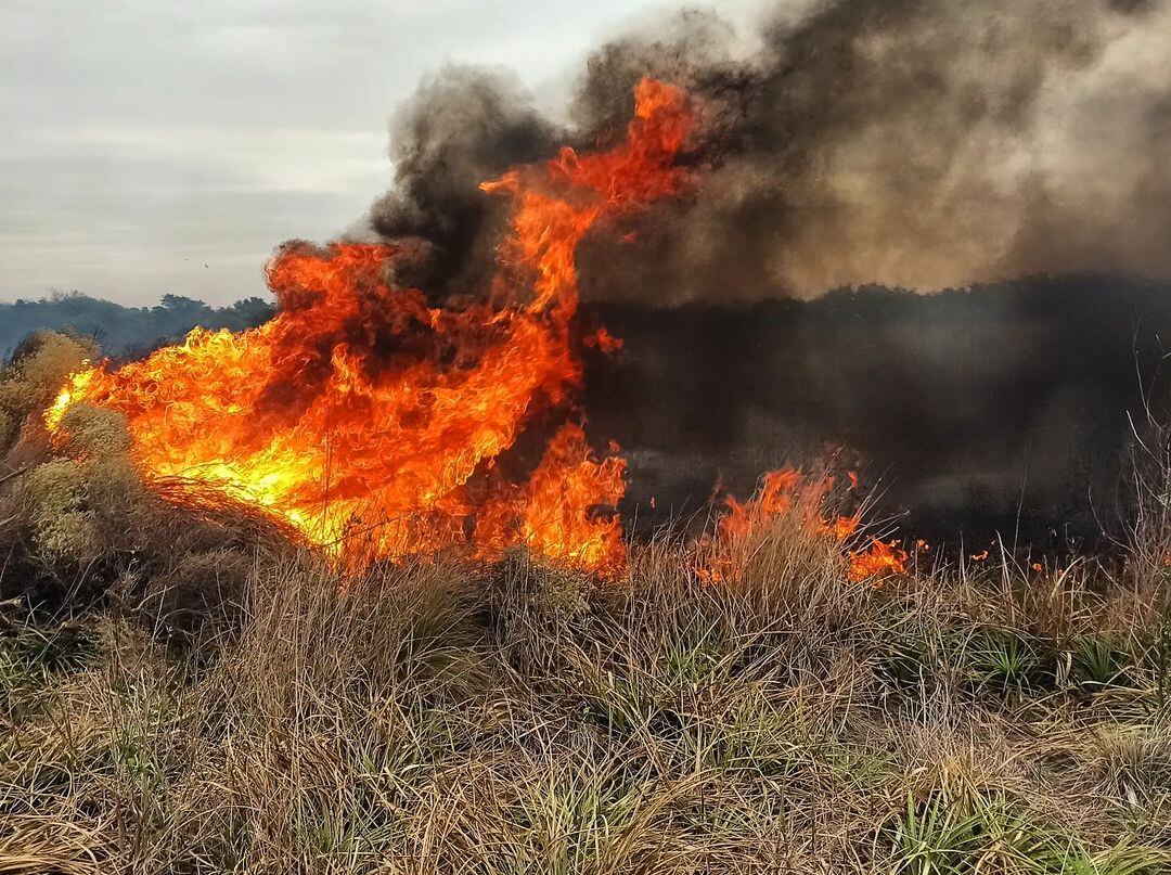 Incendio de pastizales Bomberos de Arroyito