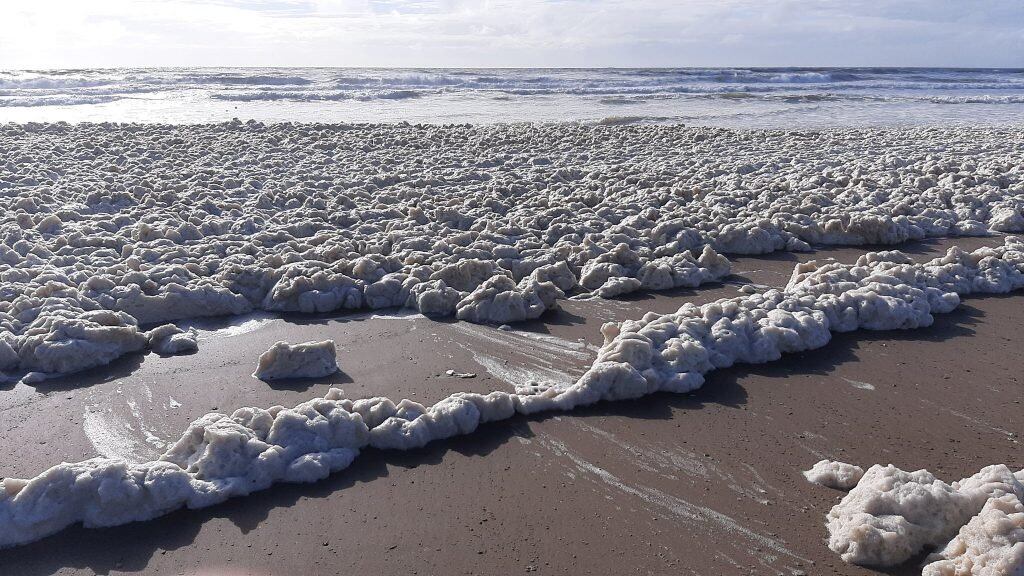 Espuma en las costas de Mar del Plata.