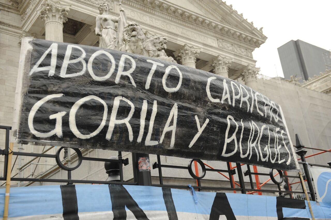 La marcha “Salvemos las dos Vidas” en el Congreso