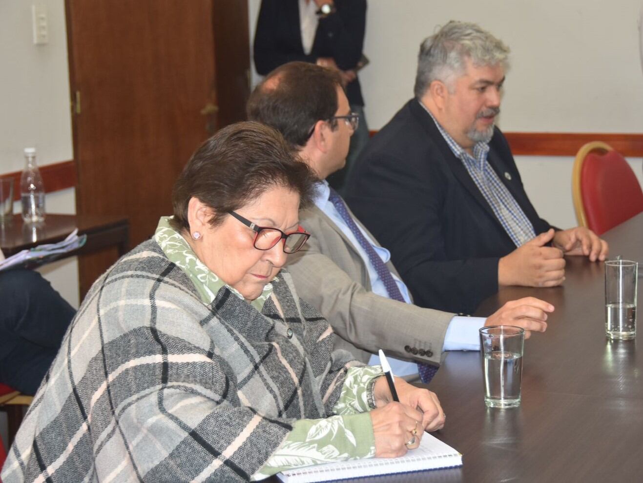 En el salón "Presidente Raúl Alfonsín" de la Legislatura de la Provincia, la comisión de Salud recibió al presidente del Consejo de Médicos de Jujuy, Sebastián Romero Arenas.