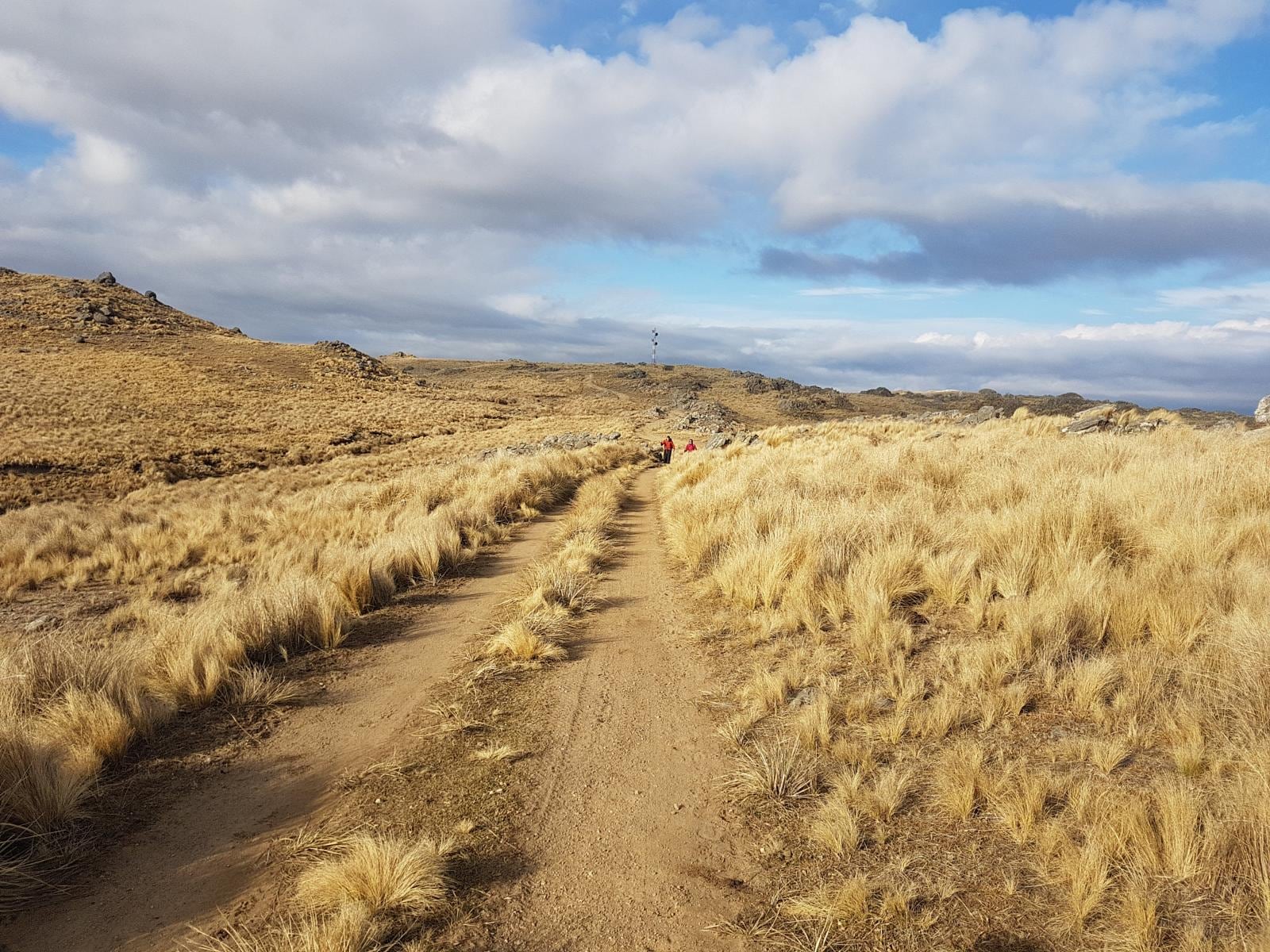 Cerro de las Ovejas, San Luis