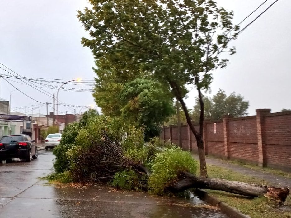 Más de 30 árboles caídos, postes de cableado y voladuras de techos