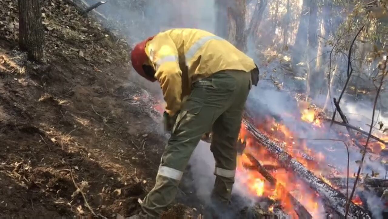 Captura de video.