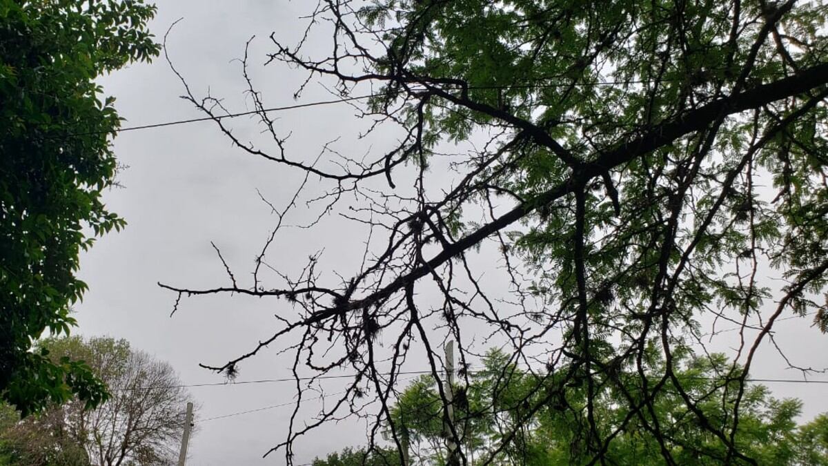 Martes fresquito y gris en La Calera
