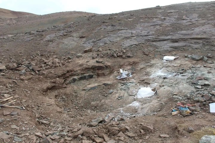 Maip fue encontrado en el año 2019 en la Estancia La Anita, 30 kilómetros al suroeste de El Calafate en Santa Cruz.