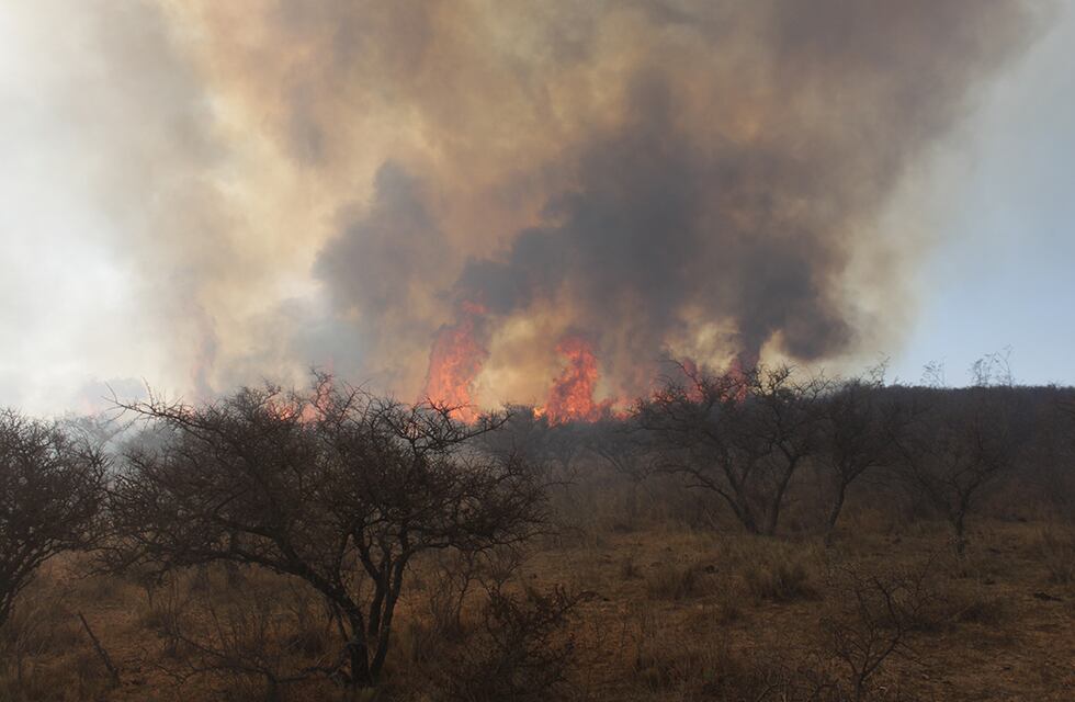 Incendio forestal en Santa María de Punilla: trabajan 50 efectivos y un avión hidrante