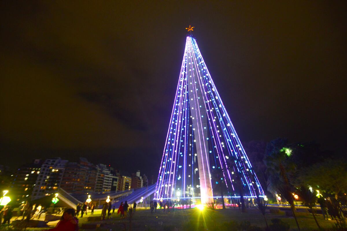 Con 100 metros de altura, el árbol de Navidad más grande de Sudamérica se encuentra en Córdoba