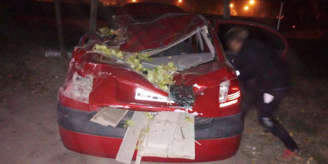 Así quedó el automóvil que aplató el árbol en San Rafael.