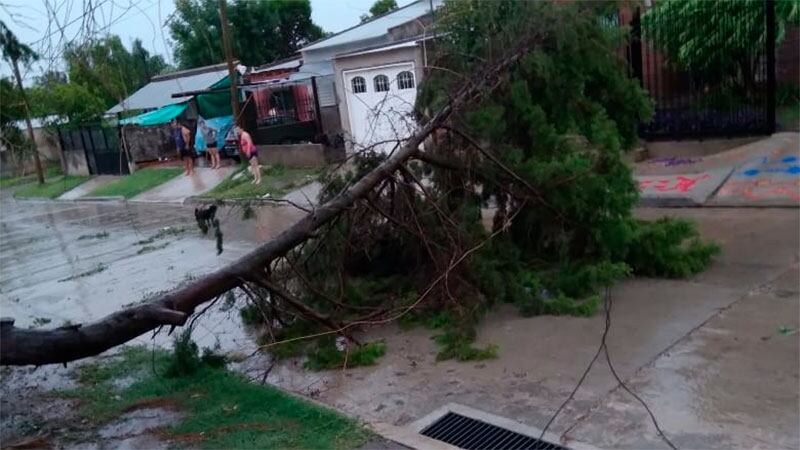 Temporal en Victoria