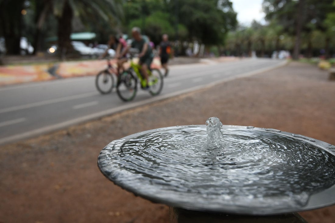 Ola de calor en Mendoza.