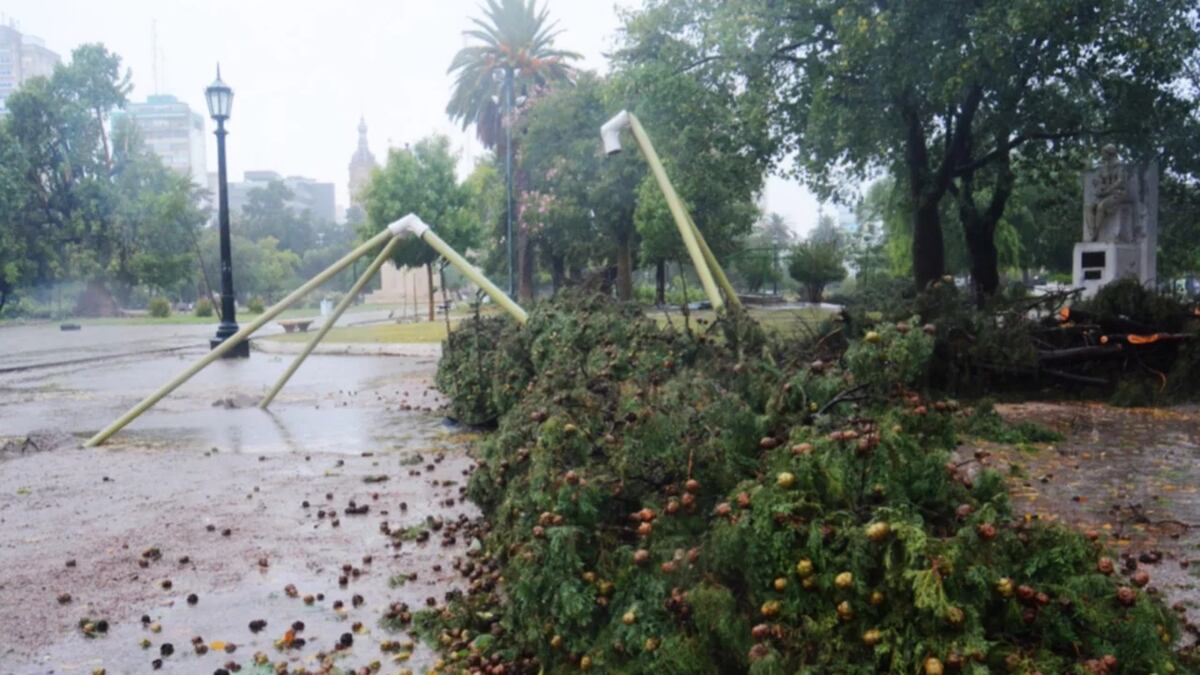 Temporal sin antecedentes en Bahía: ya son más de 100 las familias evacuadas