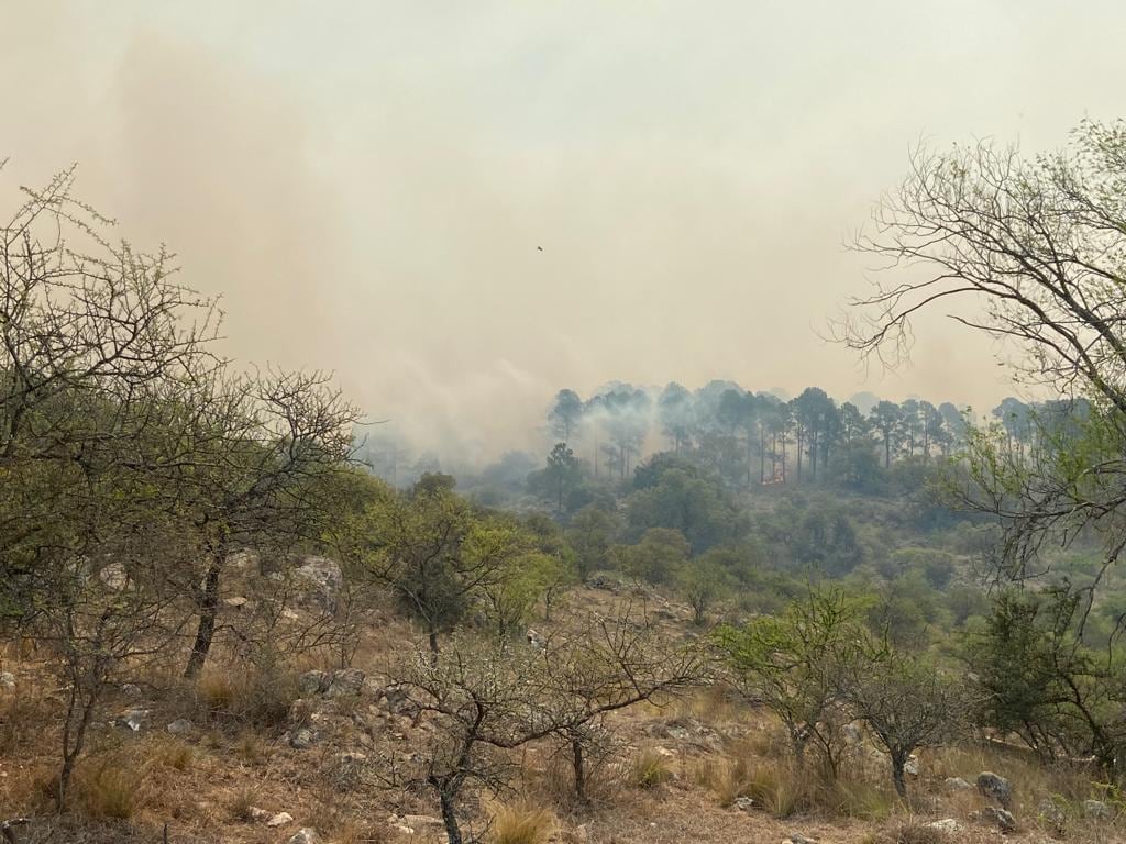 Incendio en San Clemente.