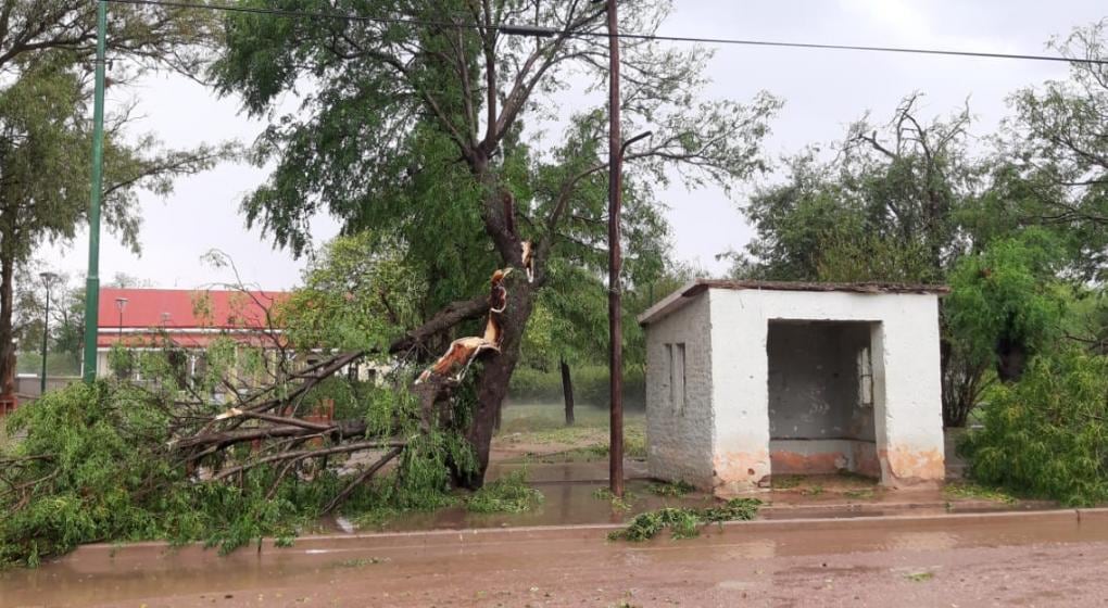 Al menos 30 familias se vieron afectadas con destrozos y cortes de luz.