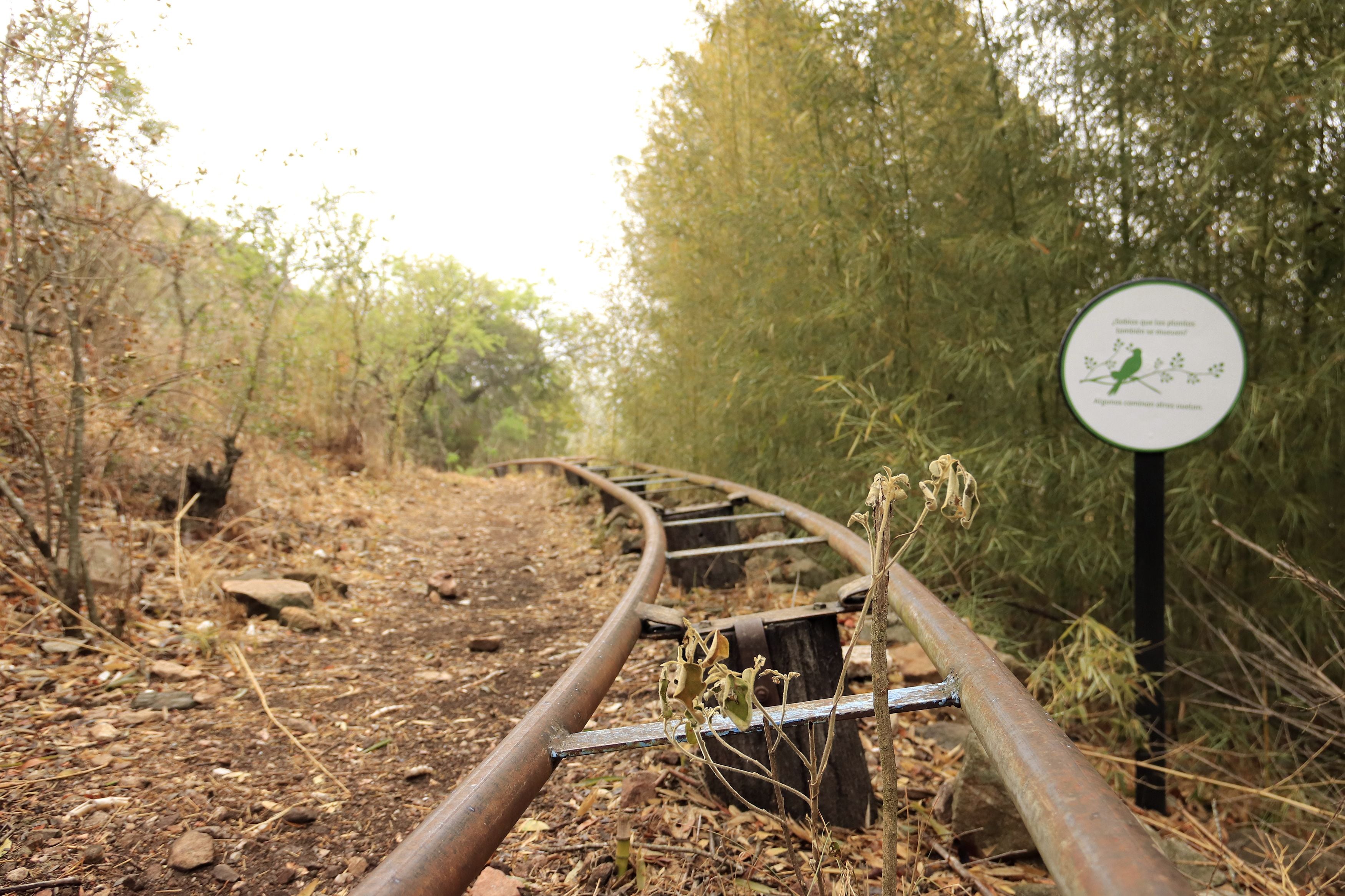 Aula ambiental en Carlos Paz en la ex Montaña Mágica