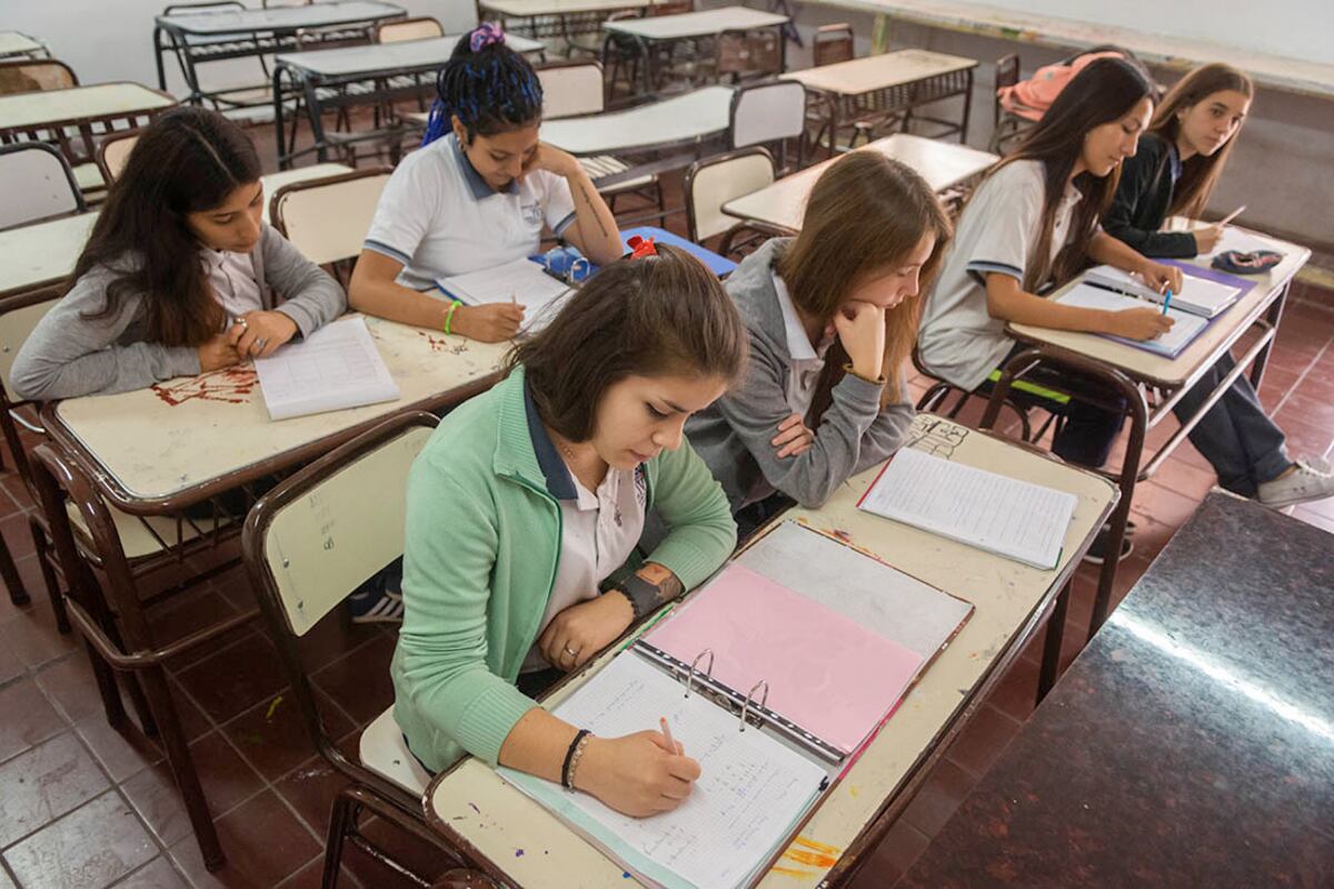 Educación en Córdoba: qué son las Pruebas Pisa que comienzan este lunes