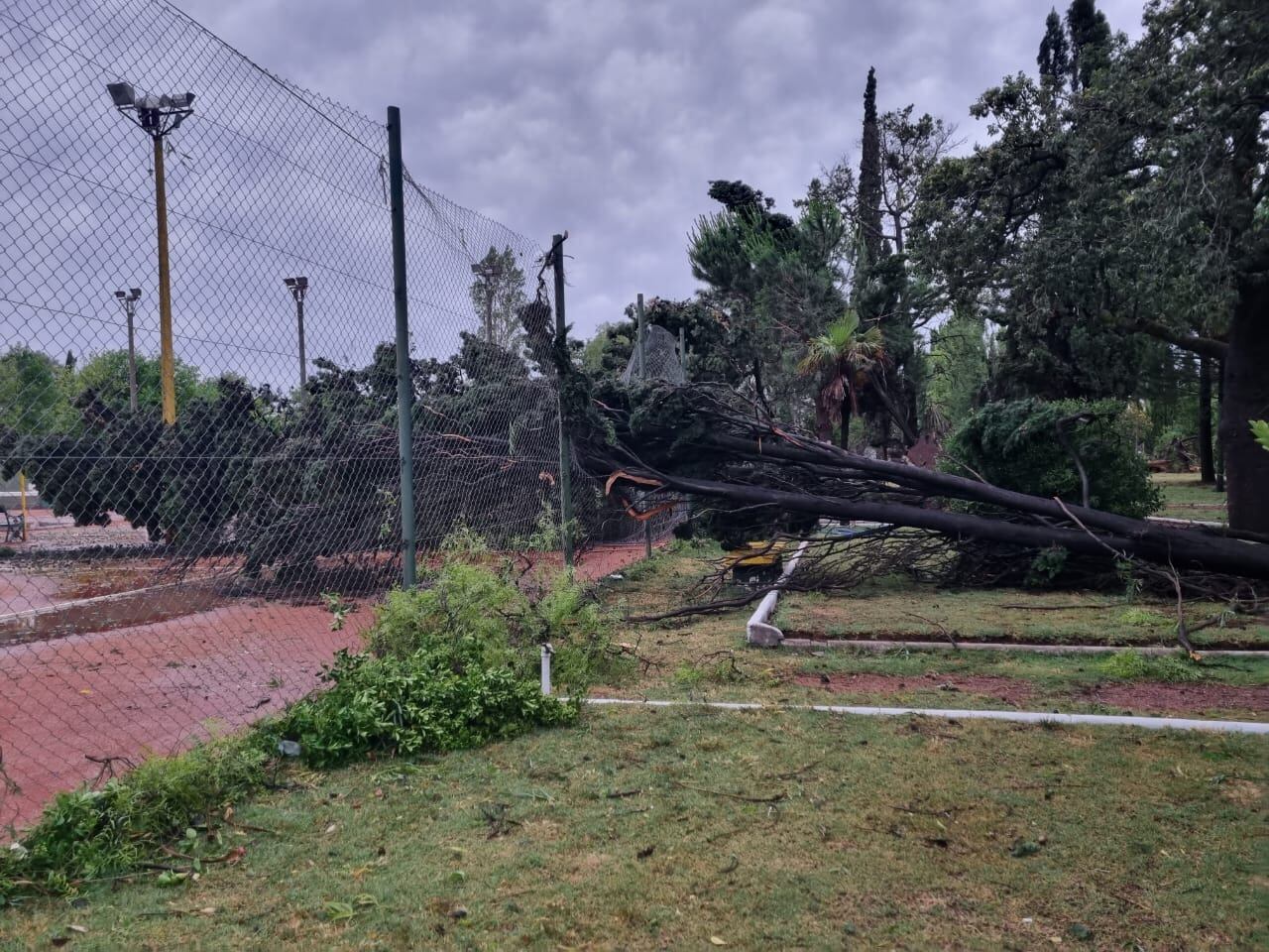 Destrozos a causa del temporal