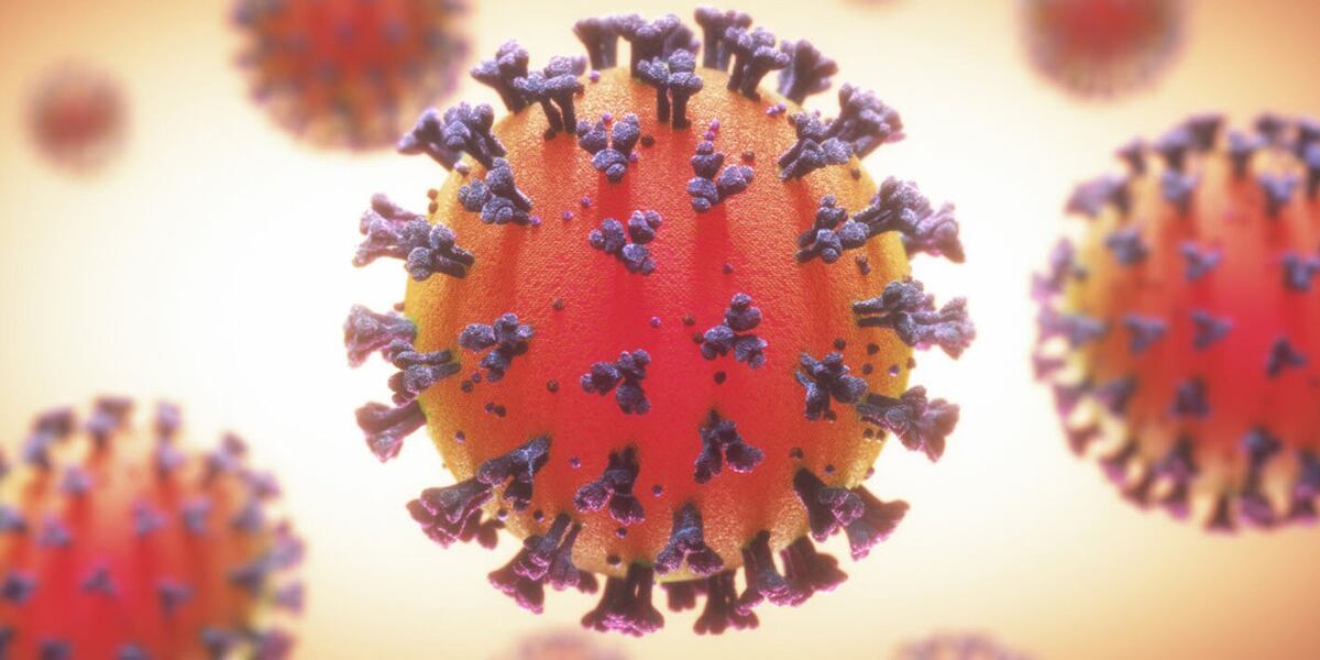 Coronavirus en Argentina: el Malbrán confirmó que encontraron una variante de Río de Janeiro en el país
