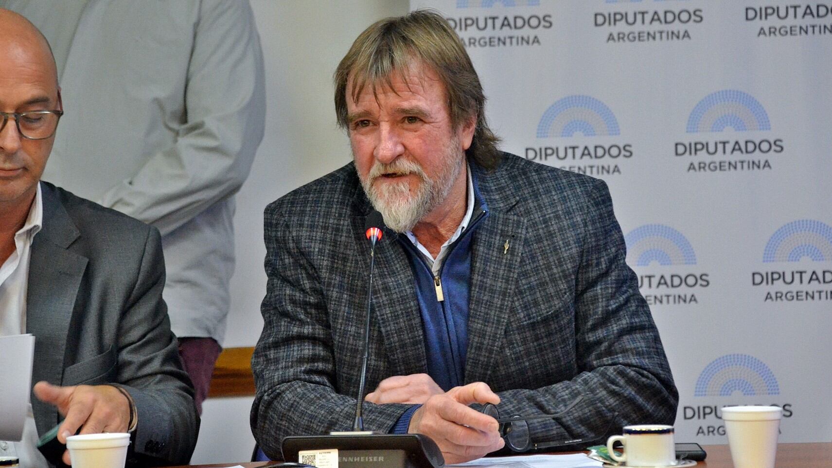 El diputado jujeño Jorge Rizzotti fue elegido para presidir la Comisión de Transportes de la Cámara baja nacional.