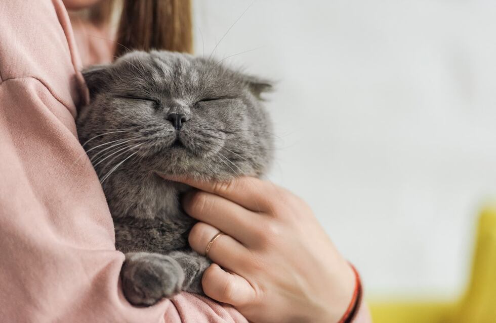 YO4OAL3T5RDUXIWXRJE6X7CPJE