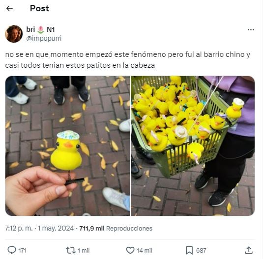 Furor por los patitos del Barrio Chino: la nueva tendencia a la que todos se suman y nadie sabe qué significa