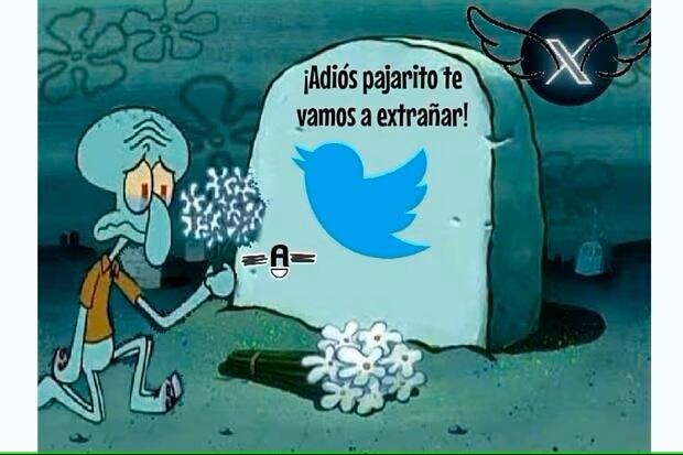 Memes sobre la caída de Twitter