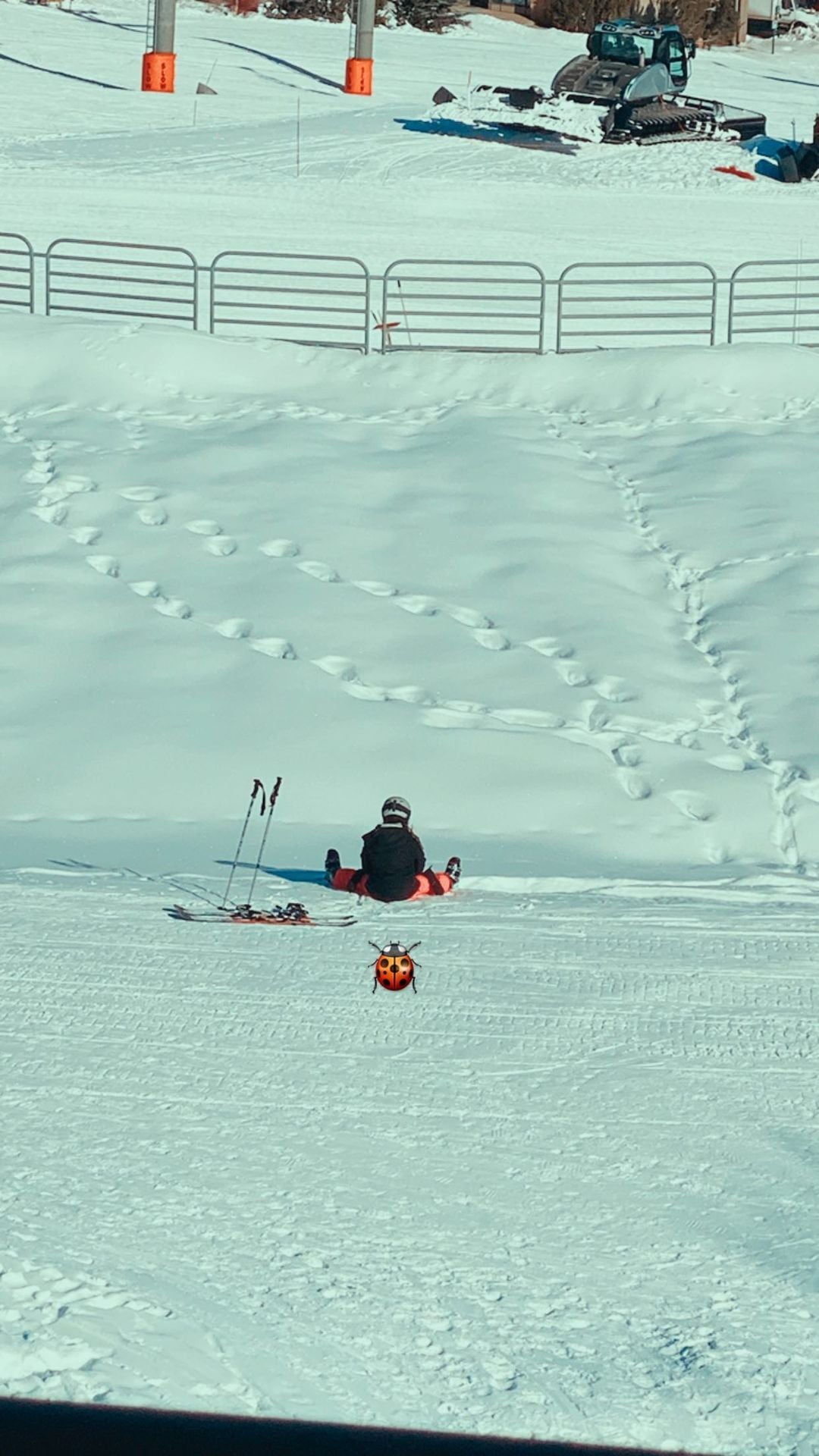 El accidente en la nieve de Verónica Lozano