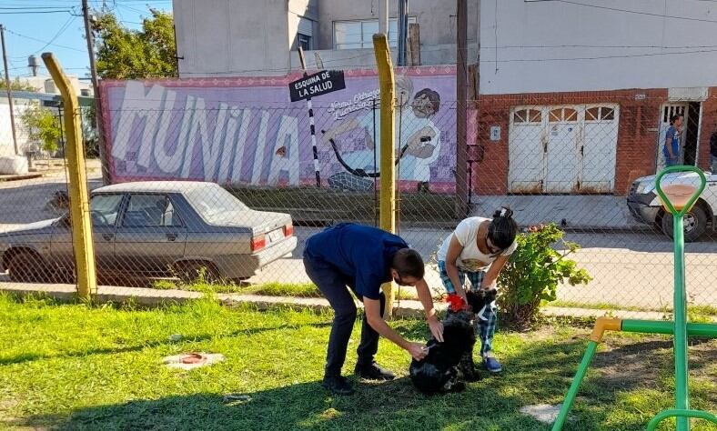 Campaña antirrábica en Gualeguaychú