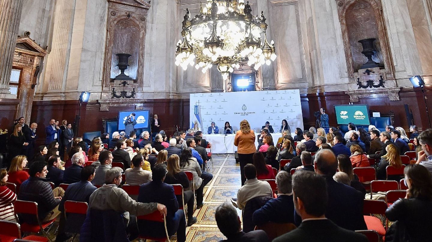 Cristina Kirchner al frente de los legisladores en el Salón Azul del Senado.