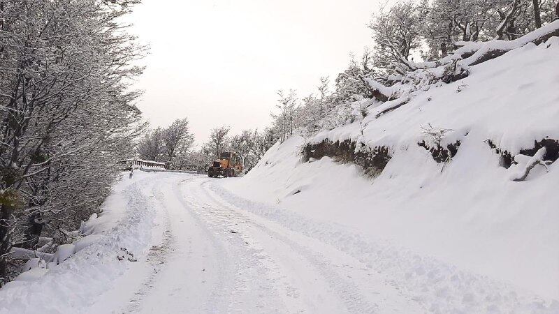 La Dirección Provincial de Vialidad Provincial realiza operativo de limpieza en rutas provinciales