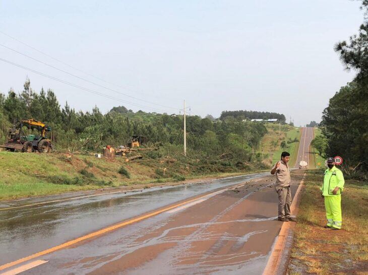 La Ruta Nacional N°12 se halla en despeje de banquinas.