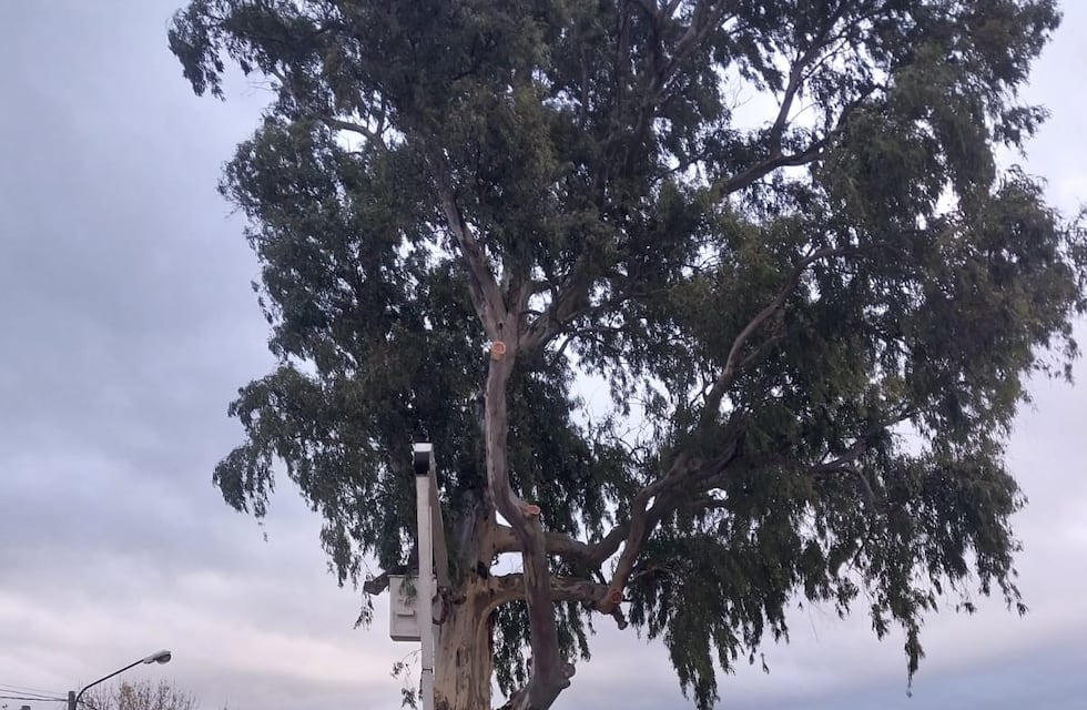 YSHCCDWCC5A77LJQZ4GMLWGPC4