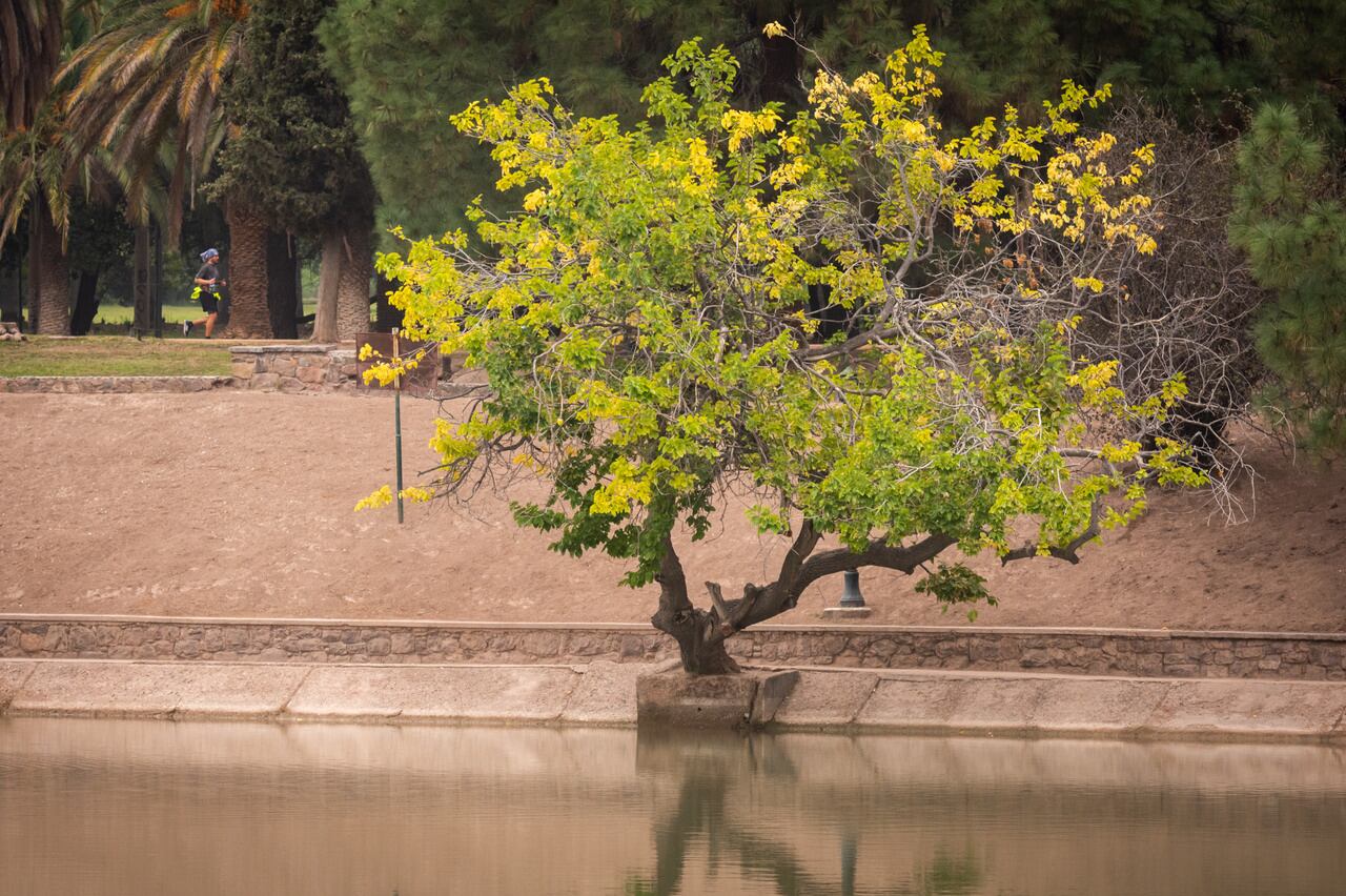 Parque General San Martín
Este fin de semana de otoño en Mendoza estará frío, nublado y precipitaciones aisladas.  

Foto: Ignacio Blanco / Los Andes 