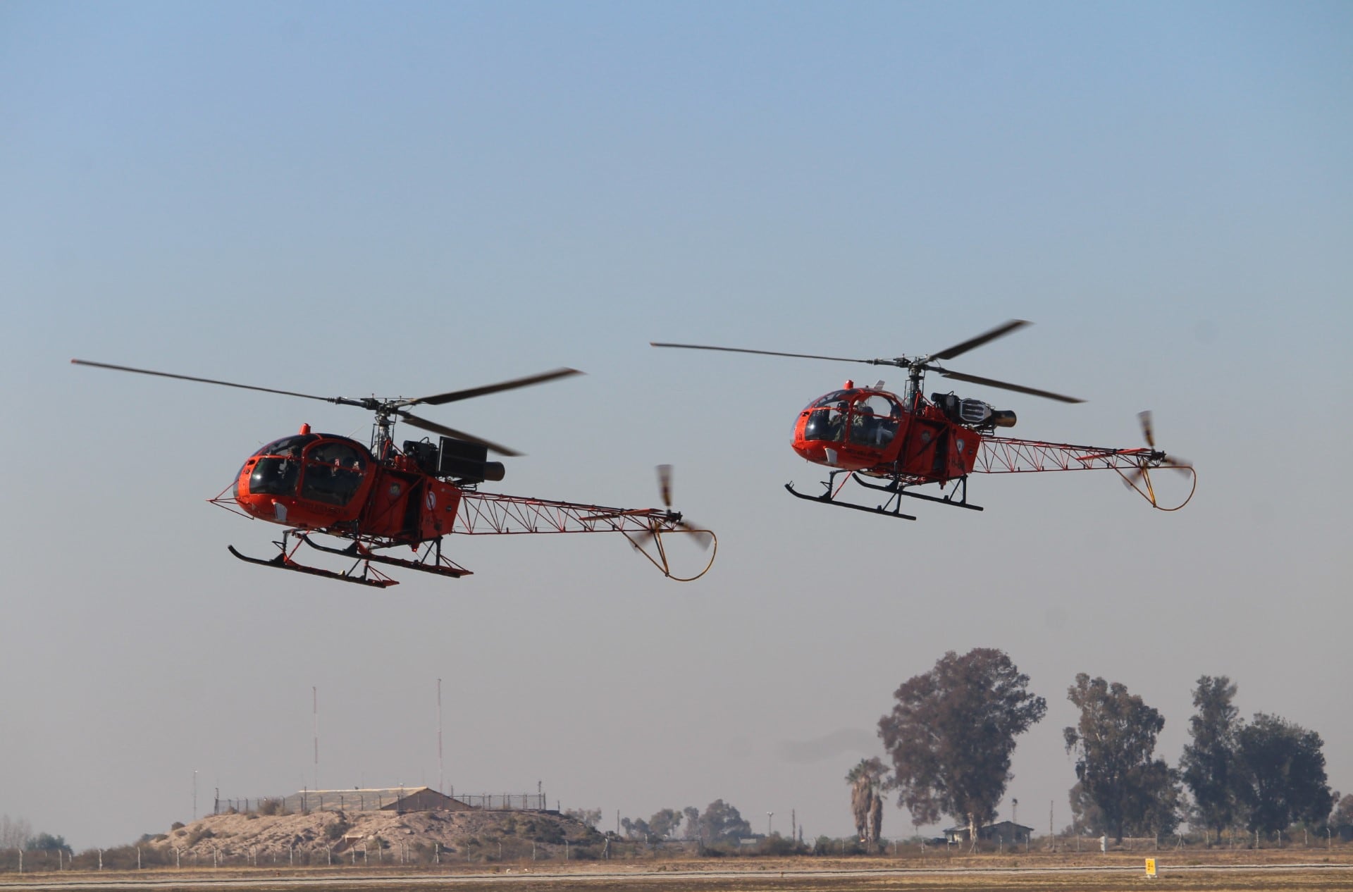 Vuelo de las reinas en los Lama