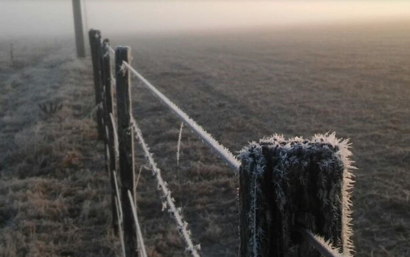 Ola polar: la ciudad de Buenos Aires registró la temperatura más baja desde el 2011