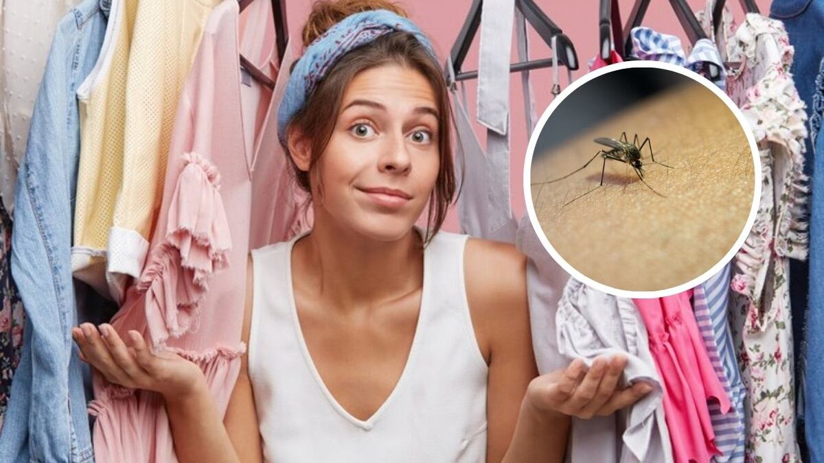 Atención: estos 3 colores de ropa hacen que los mosquitos te piquen más