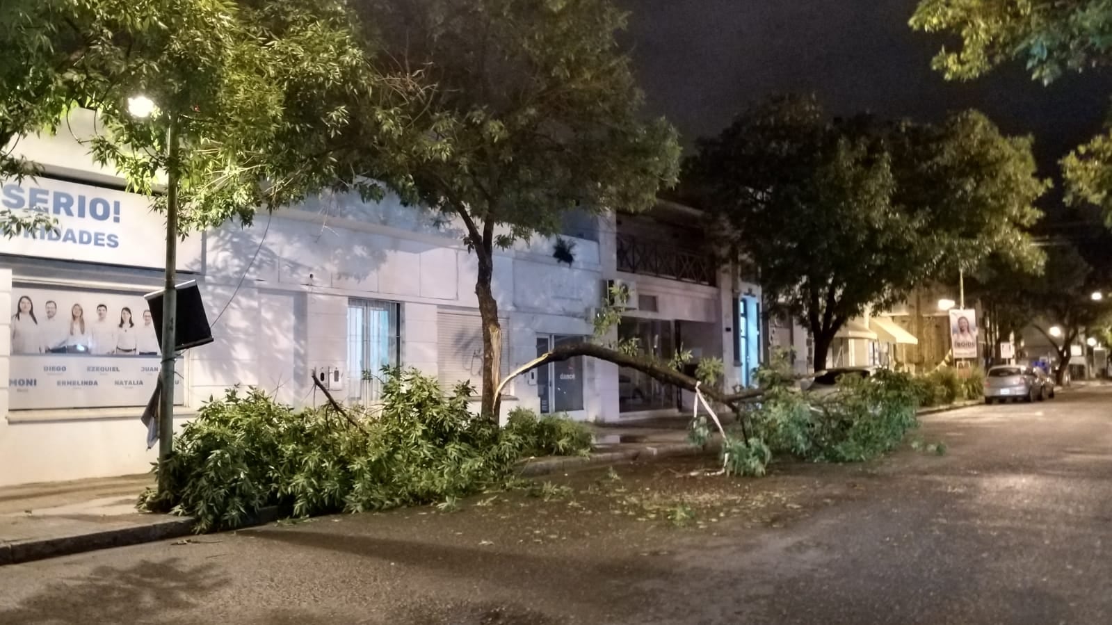 Una rama importan cayó en la tercera cuadra de San Martín, casi Güemes