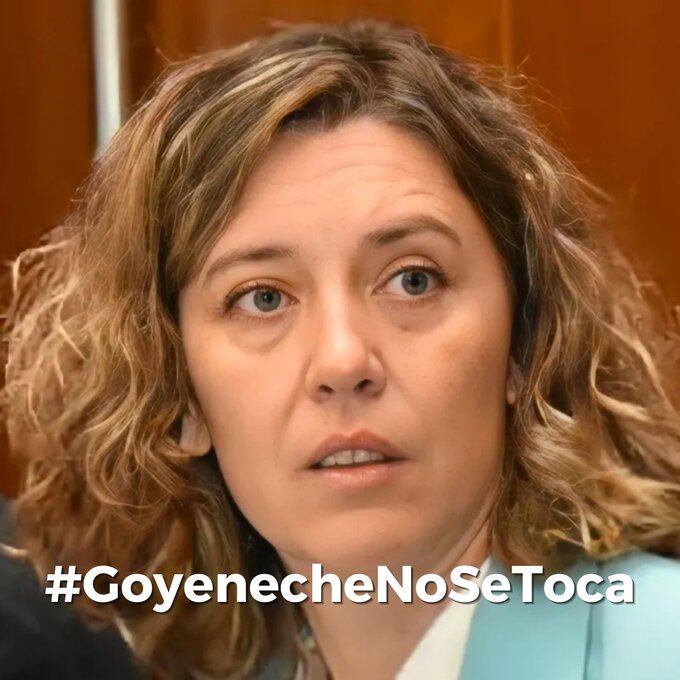 Fiscal Goyeneche