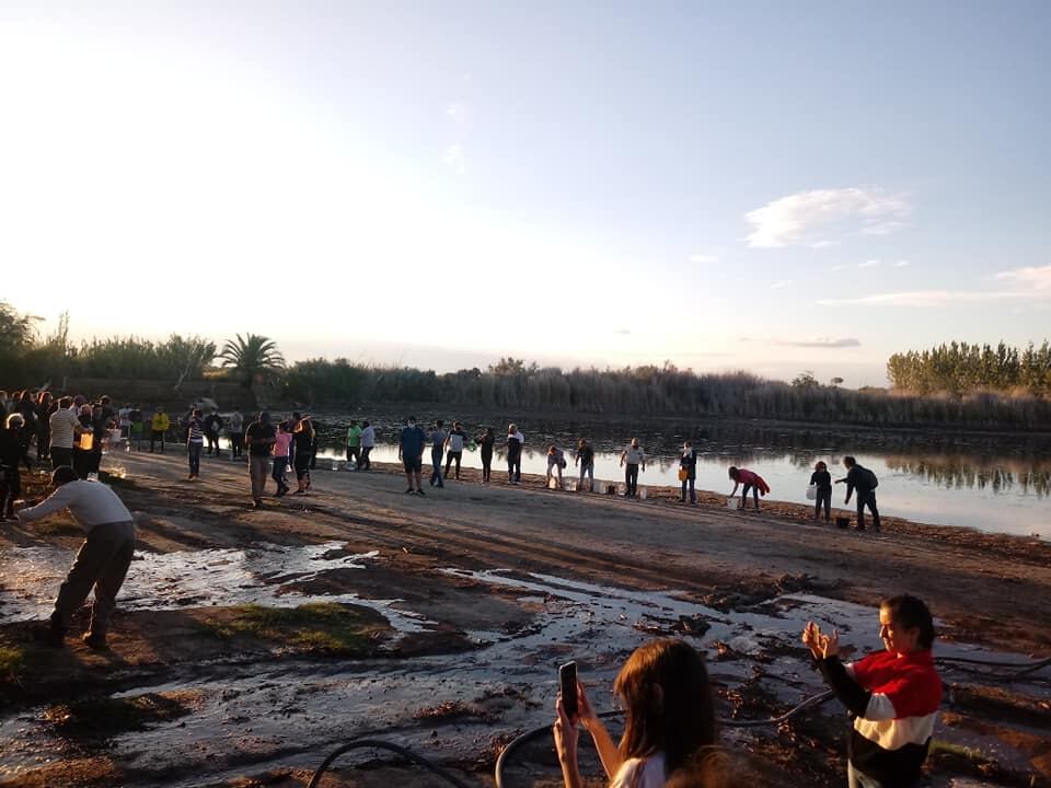 Campaña para salvar la Laguna del Viborón