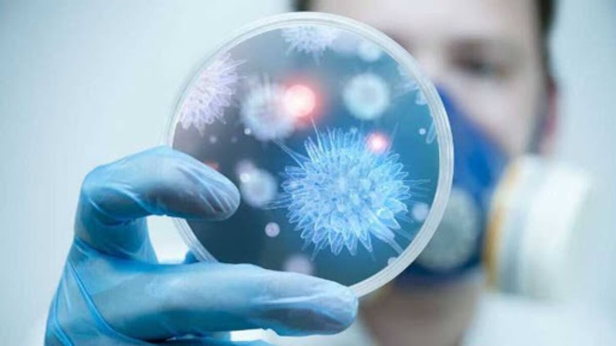 San Luis es la segunda juridicción con más casos de coronavirus cada 100 mil habitantes