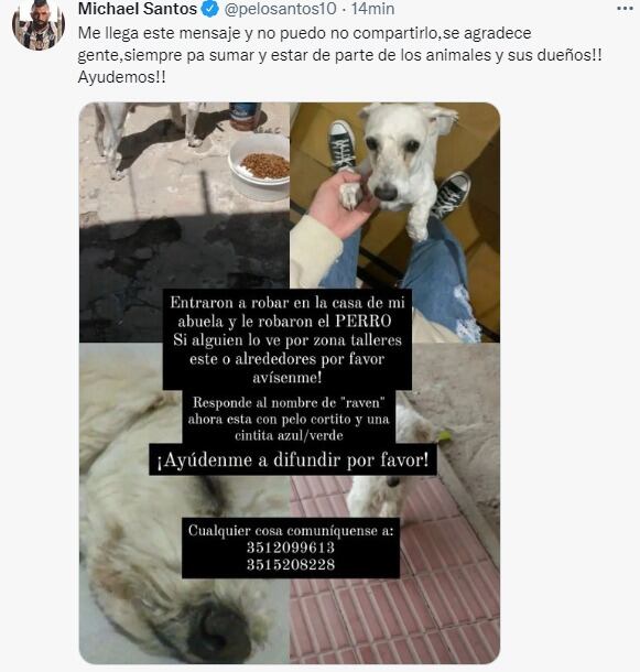 Michael Santos también pidió colaboración para encontrar a otra mascota.