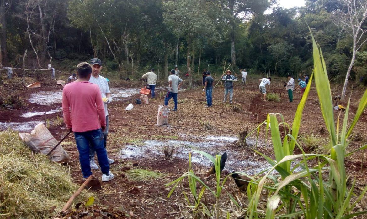 Puerto Libertad: integrantes de la Aldea Yryapú tuvieron capacitaciones en agrofloresta.