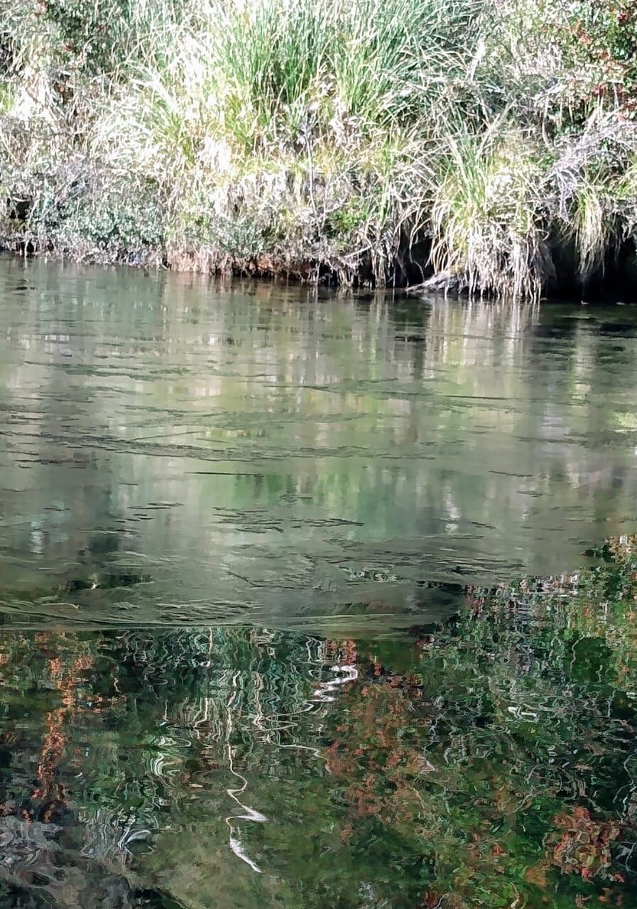 Río de Los Reartes.