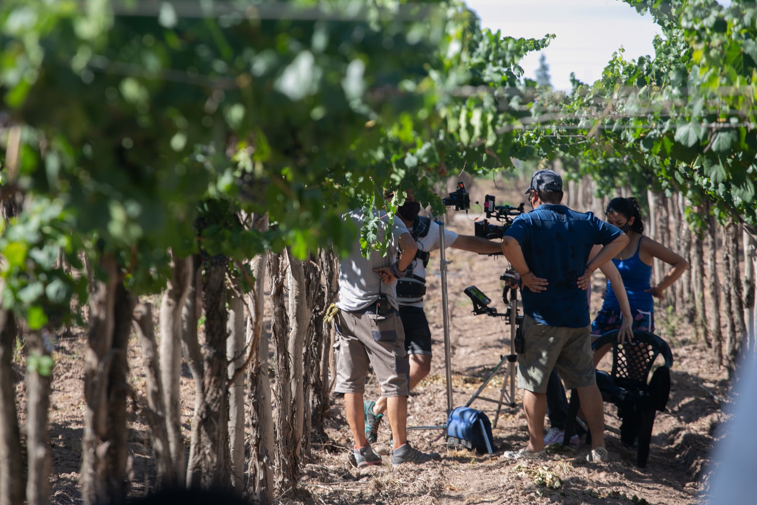 Rodaje de Vendimia 2021 en bodega.