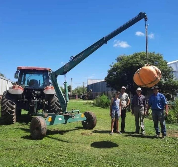 Los productores tuvieron que extraer la verdura con una grúa.