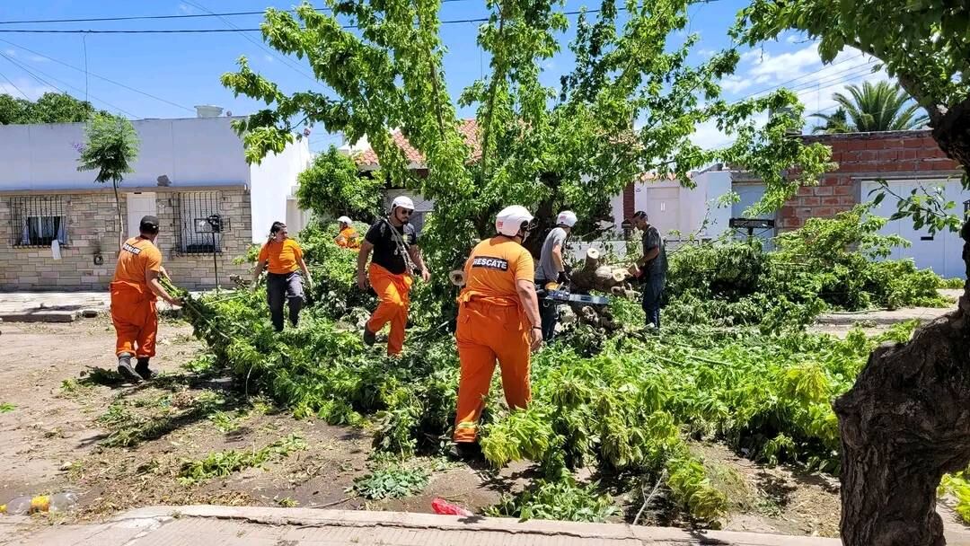 Recatistas PA: un trabajo silencioso tras el temporal en Punta Alta