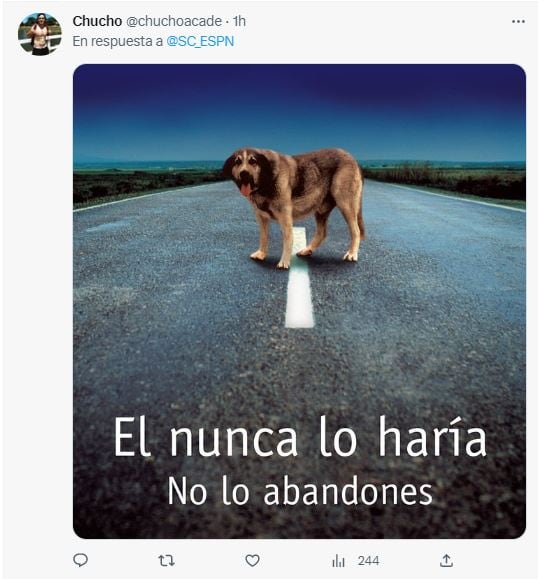 Los memes tras el olvido de  Federico Rasmussen