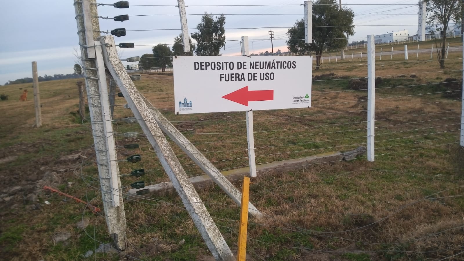 recepción de neumáticos fuera de uso